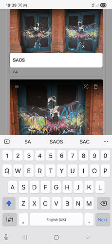 Screenshot_20260307_183921_Samsung Internet