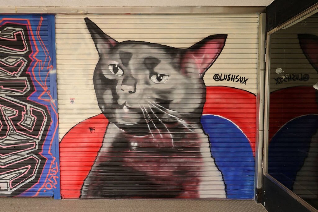 その他 X-color graffiti in Japan X-COLOR GRAFFITI IN JAPAN | 百年